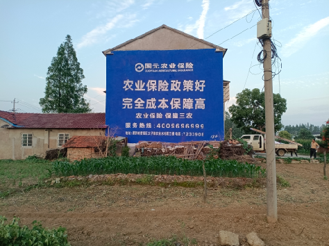 南涧墙体广告的优劣势你知道吗？